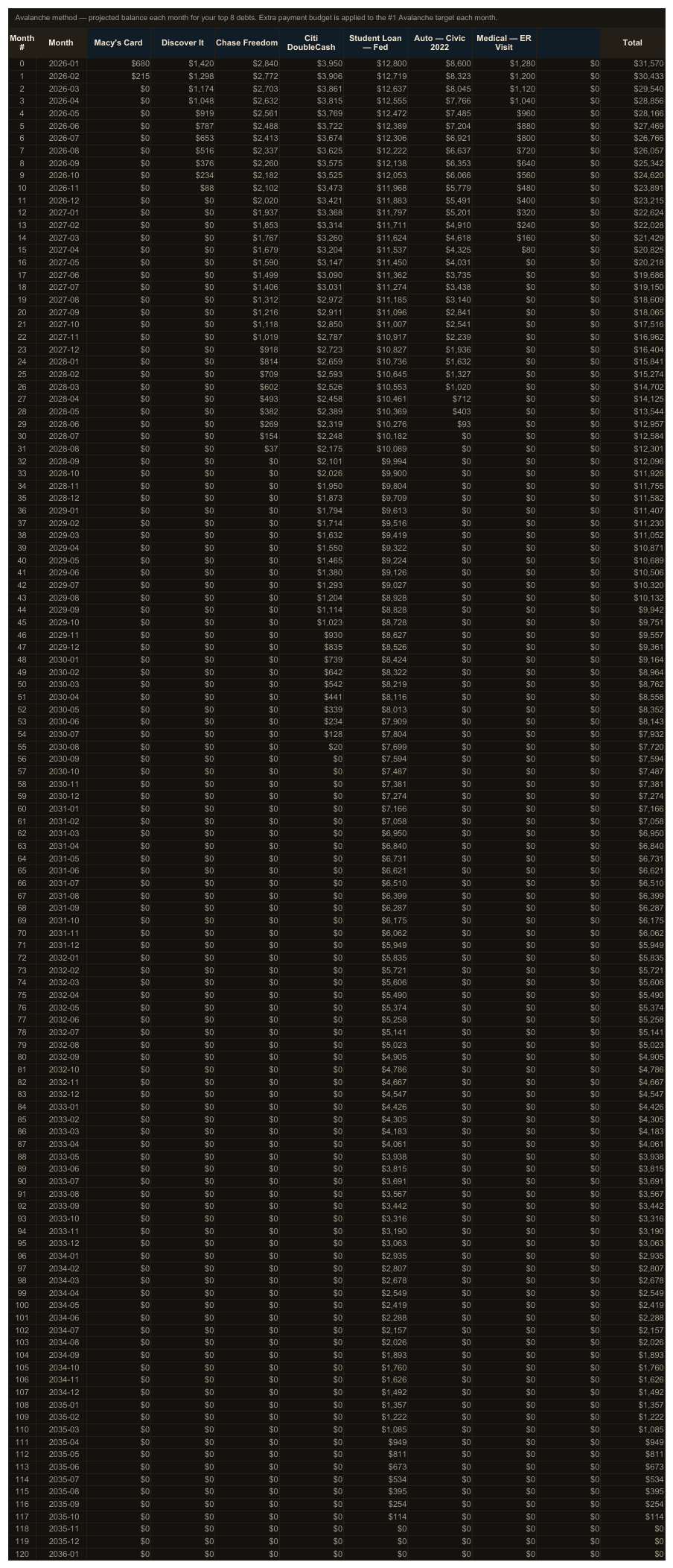 Debt Payoff Tracker — sheet 4