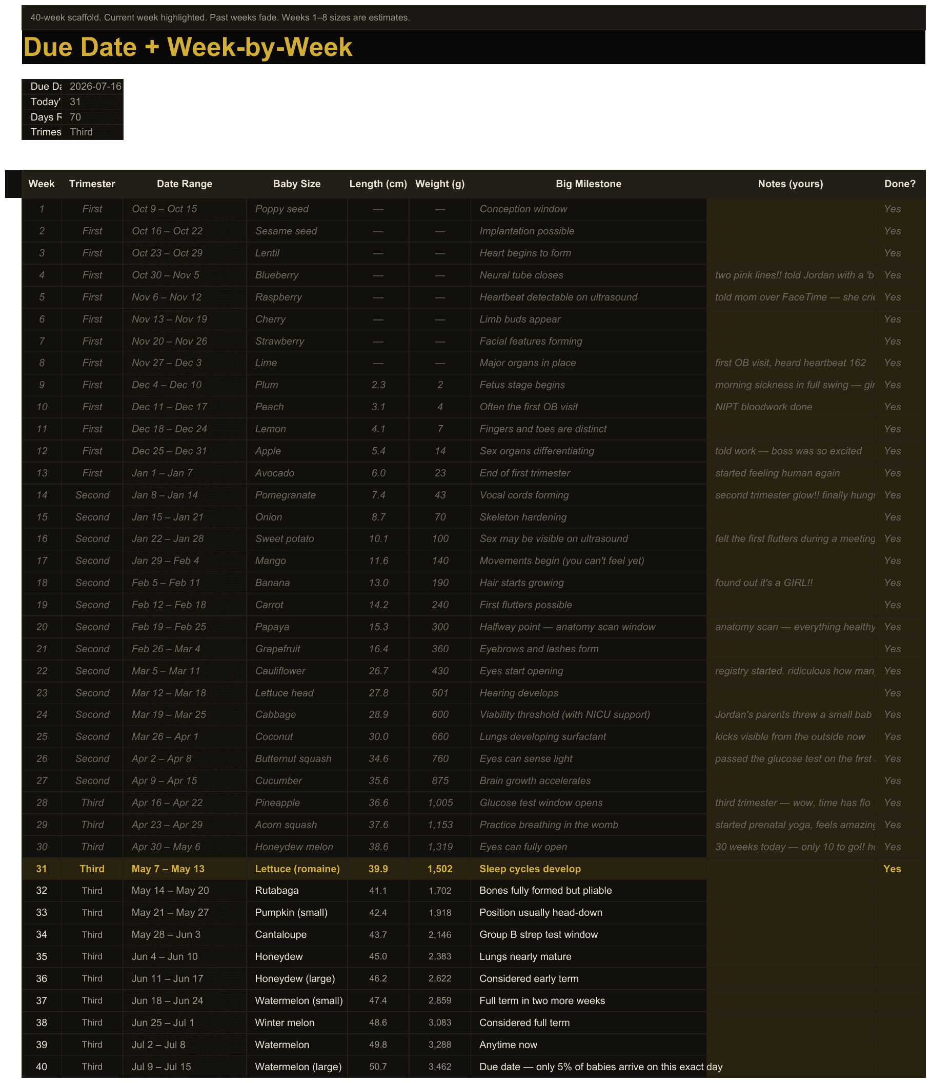 Pregnancy Planner — sheet 1
